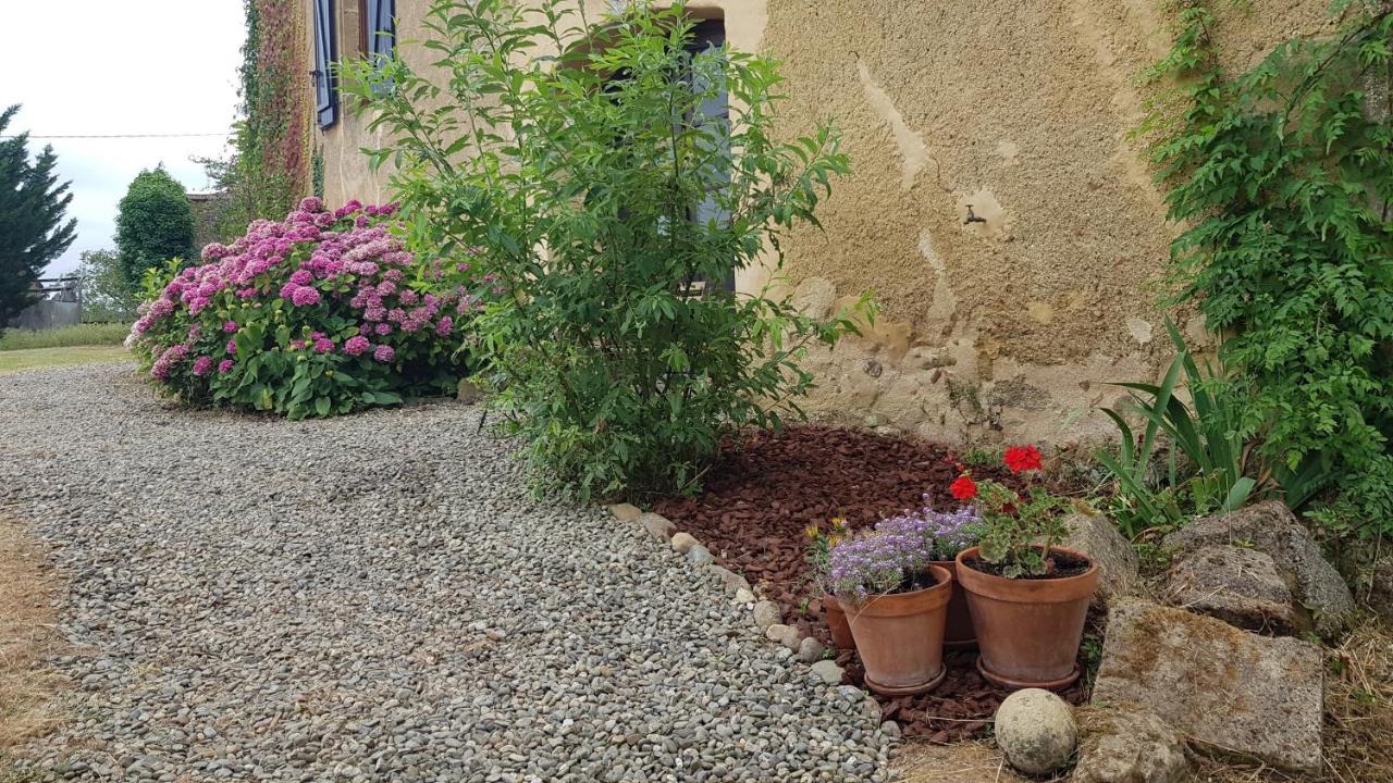 Le Peyroutet Daire Cazaux-Villecomtal Dış mekan fotoğraf
